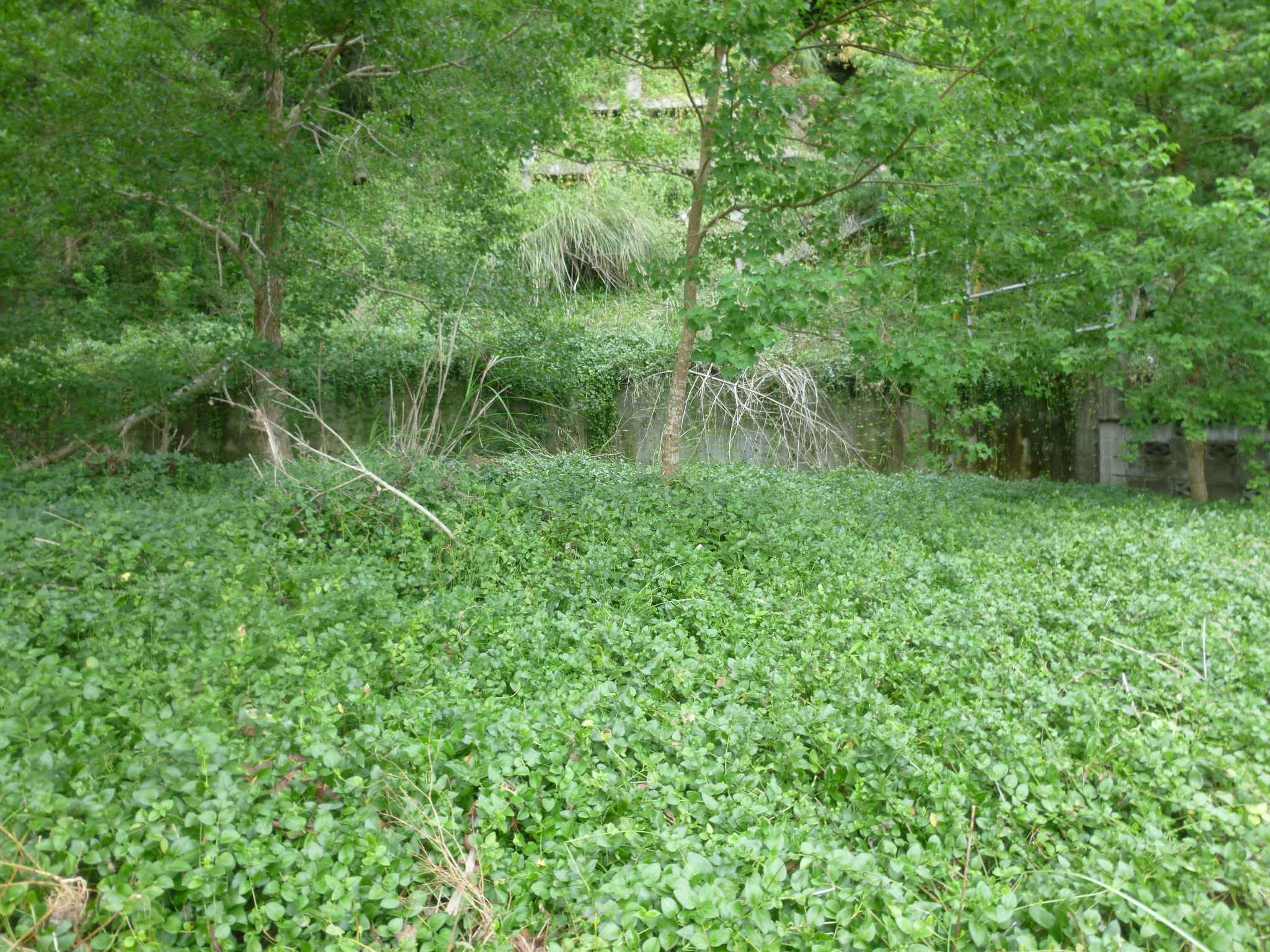 滋賀里現地画像